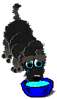 Benutzeravatar